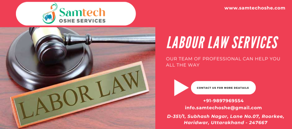 Essential Insights on Labour Law Services